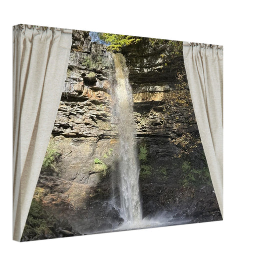 1660c64f-3dd0-4cf1-bd7c-adb885f81486