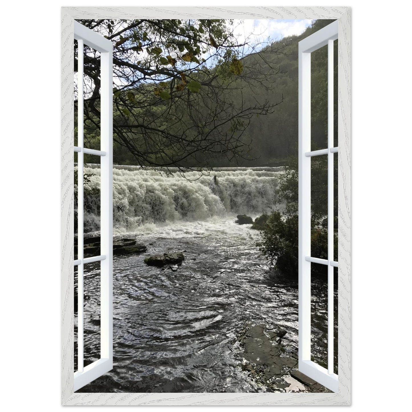 21d31f6d-f7f6-4e01-8570-8fdfce64aada