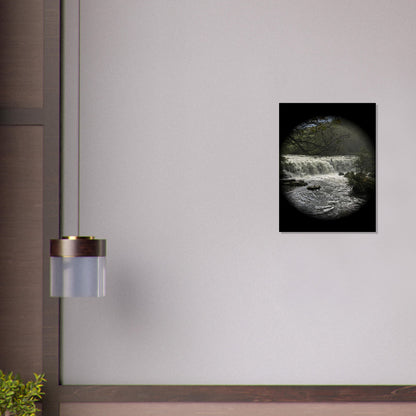 4319512d-b6a4-4925-95f9-85d38300ed81