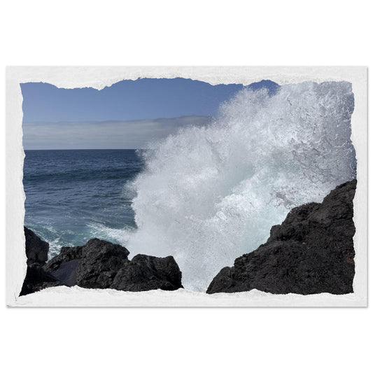 61e55037-d649-4bb0-a9cb-ec38091bfb76