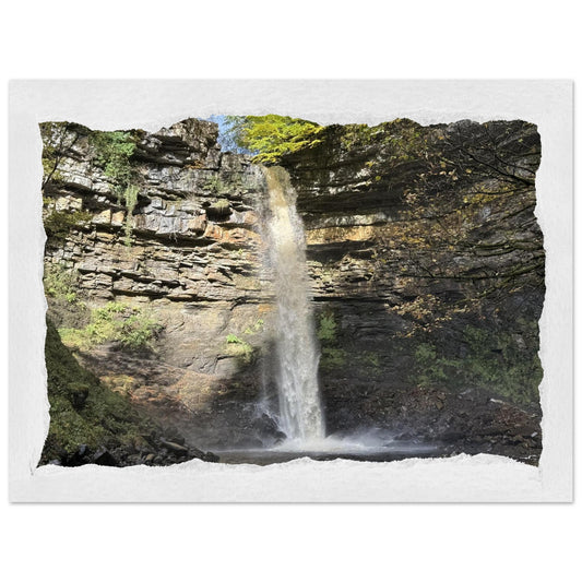 ba8d8a89-b438-4458-a67a-f6c908943ba4