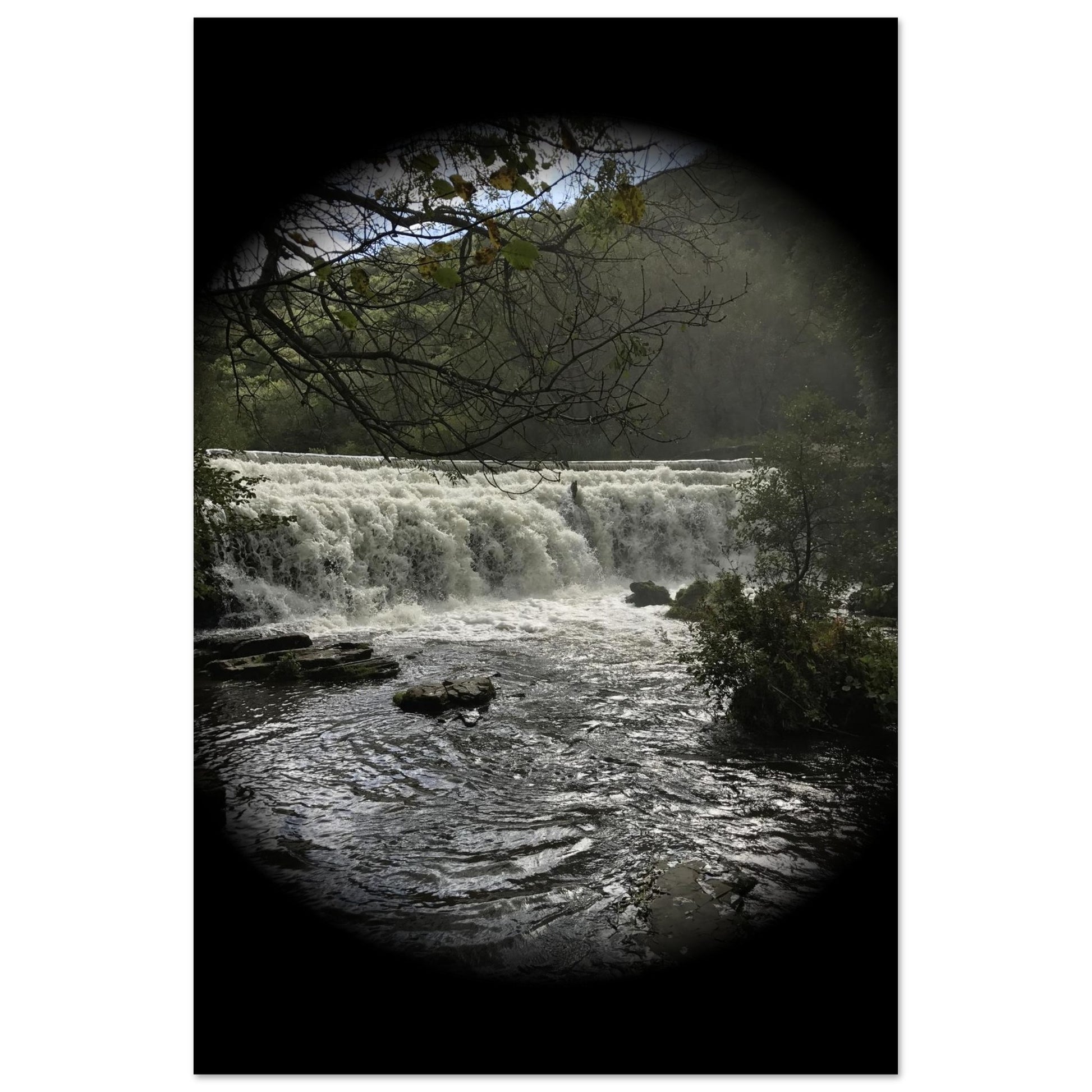 f46d5b15-da0e-435d-8084-0a225a8f0085