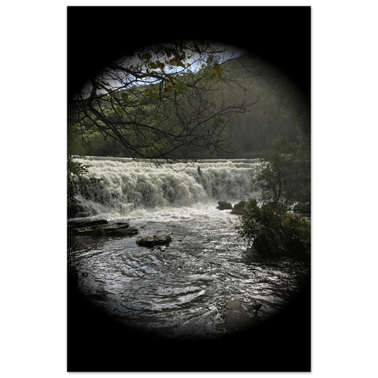 f46d5b15-da0e-435d-8084-0a225a8f0085